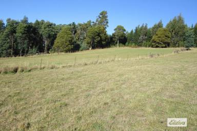 Lifestyle For Sale - TAS - Lower Wilmot - 7310 - LIFESTYLE OPPORTUNITY  (Image 2)