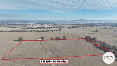 Residential Block For Sale - NSW - Glenellen - 2642 - LIFESTYLE OPPORTUNITY  (Image 2)