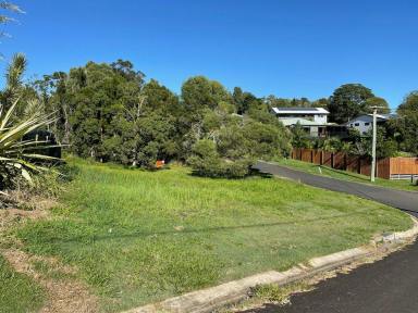 Residential Block For Sale - QLD - Macleay Island - 4184 - Corner Block with Bay Glimpses – Cleared and Ready to Build  (Image 2)
