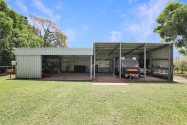 House For Sale - QLD - Edmonton - 4869 - MAJESTIC EDMONTON ACREAGE WITH 5-BAY SHED & POOL  (Image 2)