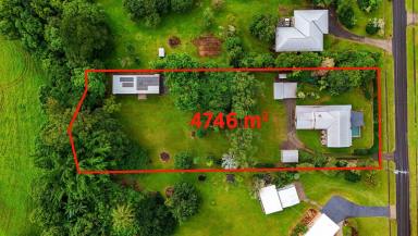 House For Sale - QLD - Edmonton - 4869 - MAJESTIC EDMONTON ACREAGE WITH 5-BAY SHED & POOL  (Image 2)