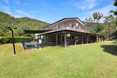 House For Sale - QLD - Edmonton - 4869 - MAJESTIC EDMONTON ACREAGE WITH 5-BAY SHED & POOL  (Image 2)