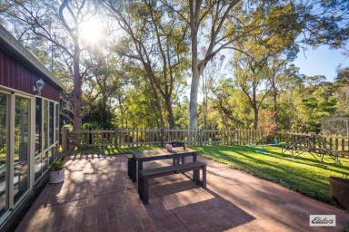 Acreage/Semi-rural For Sale - NSW - Bega - 2550 - PRIVATE BUSH RETREAT JUST MINUTES FROM BEGA  (Image 2)