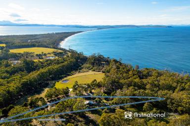 House For Sale - TAS - Adventure Bay - 7150 - 'Driftwood' - An Artistic Haven with Iconic Isthmus & Ocean Views!  (Image 2)