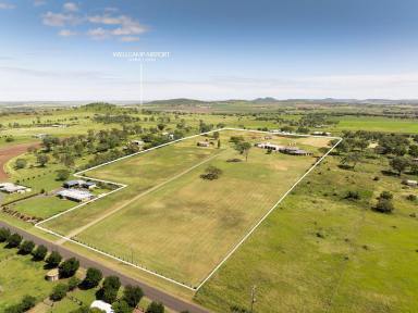 House For Sale - QLD - Westbrook - 4350 - 'Southview'- Offering a Lifestyle Opportunity of a Lifetime  (Image 2)