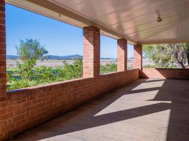 Mixed Farming Auction - NSW - Tomingley - 2869 - Grand Homestead & Productive Soils  (Image 2)