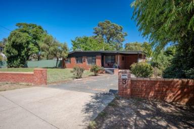 House For Lease - WA - Armadale - 6112 - Newly Renovated Home - Central Location on Large Block  (Image 2)