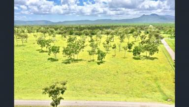 Other (Rural) For Sale - QLD - Brookhill - 4816 - 236 Acres - 2 Houses - Sheds - Bores - Brookhill  (Image 2)