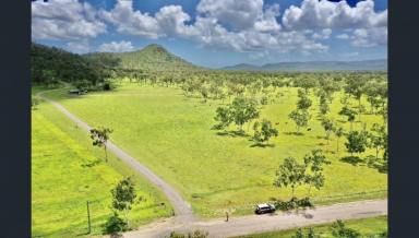 Other (Rural) For Sale - QLD - Brookhill - 4816 - Just Reduced - 236 Acres - 2 Houses - Sheds - Bores - Brookhill  (Image 2)