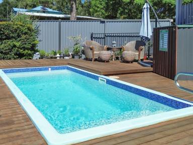 House Sold - QLD - Macleay Island - 4184 - Move-In Ready with All the Bells & Whistles  (Image 2)