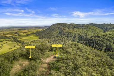 Lifestyle For Sale - NSW - Stanhope - 2335 - 42Ha (105 ACRE) BUSH BLOCK W/ DWELLING APPROVAL  (Image 2)
