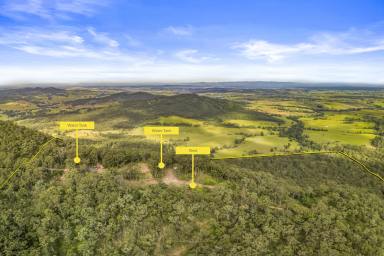 Lifestyle For Sale - NSW - Stanhope - 2335 - 42Ha (105 ACRE) BUSH BLOCK W/ DWELLING APPROVAL  (Image 2)