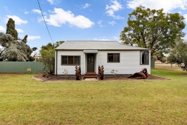 House For Sale - VIC - Cardross - 3496 - Big Block. Big Shed. Real Value.  (Image 2)