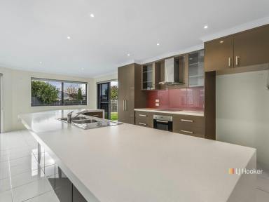 House For Sale - TAS - Shearwater - 7307 - Sun Soaked Living in the Heart of Shearwater  (Image 2)