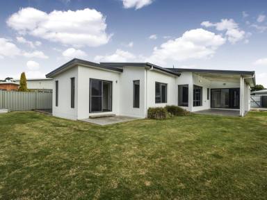 House Sold - TAS - Shearwater - 7307 - Sun Soaked Living in the Heart of Shearwater  (Image 2)