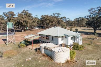 House For Sale - VIC - Inglewood - 3517 - A Quiet Country Lifestyle - Lot 1 - House on 41.5 Acres  (Image 2)
