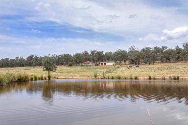 Other (Rural) For Sale - NSW - Cowra - 2794 - The Perfect Lifestyle Rural Property, 50acres* With 2 Homes & Rented Income!  (Image 2)