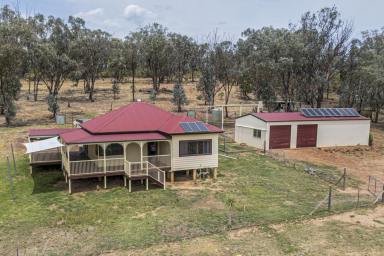 Other (Rural) For Sale - NSW - Cowra - 2794 - The Perfect Lifestyle Rural Property, 50acres* With 2 Homes & Rented Income!  (Image 2)
