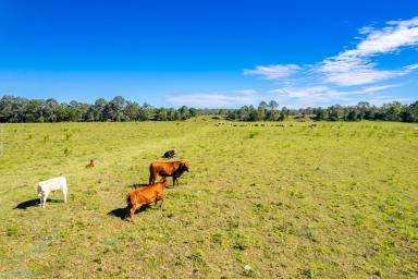 Acreage/Semi-rural For Sale - QLD - Tiaro - 4650 - Escape to the Country…Large Fully Useable Acreage Parcels  (Image 2)