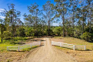 Acreage/Semi-rural For Sale - QLD - Tiaro - 4650 - Final Opportunity - 210+ Acres with Mary River Frontage  (Image 2)