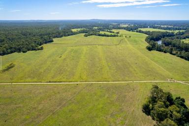 Acreage/Semi-rural For Sale - QLD - Tiaro - 4650 - Escape to the Country…Large Fully Useable Acreage Parcels  (Image 2)