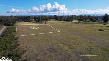 Residential Block For Sale - VIC - Port Albert - 3971 - WARM, DRY, RESIDENTIAL BLOCK AT PORT ALBERT  (Image 2)