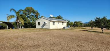 House For Sale - QLD - Morganville - 4671 - Peaceful Country Living on 36.5 Acres - Offers Above $420,000  (Image 2)