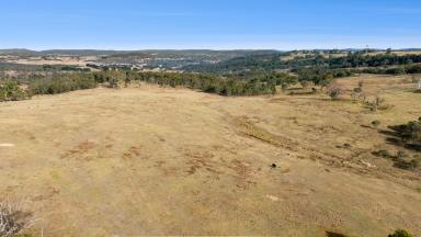 Other (Rural) For Sale - NSW - Tarlo - 2580 - Endless Potential with approved subdivision  (Image 2)