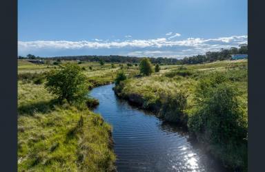 Acreage/Semi-rural For Sale - NSW - Run-o-waters - 2580 - Opportunity to Build Your Dream Country Home Or Have it Built For You, Your Choice  (Image 2)