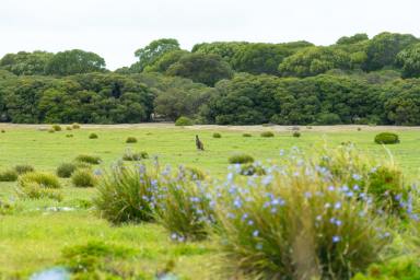 Residential Block For Sale - SA - Porky Flat - 5222 - 40.7 Ha of Kangaroo Island coast & 1 km (approx.) of absolute sea frontage. Flexible development approvals in place. (Image 2)