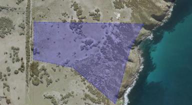 Residential Block For Sale - SA - Porky Flat - 5222 - 40.7 Ha of Kangaroo Island coast & 1 km (approx.) of absolute sea frontage. Flexible development approvals in place.  (Image 2)