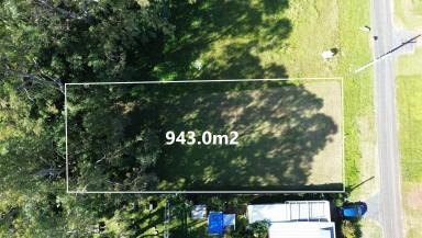 Residential Block For Sale - QLD - Macleay Island - 4184 - 943m2 - Walk to Ferry, Cafes & More  (Image 2)