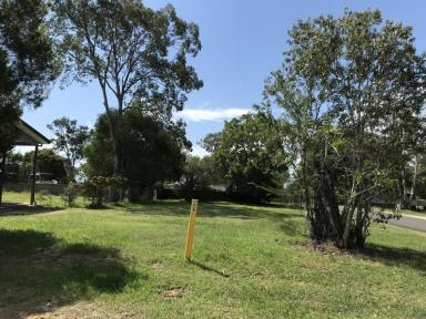 Residential Block Sold - QLD - Macleay Island - 4184 - Cleared corner block  (Image 2)