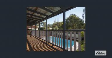 House For Lease - NSW - Taree - 2430 - Designer home with pool  (Image 2)