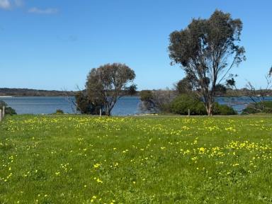 Residential Block For Sale - SA - American River - 5221 - Large (1897 m2) build ready block at American River. Absolute frontage to Pelican Lagoon. Mates water connected. 180 degrees lagoon views.  (Image 2)