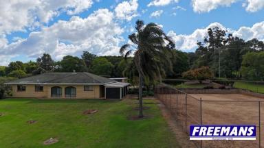 House For Sale - QLD - Kingaroy - 4610 - 5 acres with post card Bunya Mountain views  (Image 2)