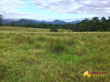 Other (Rural) For Sale - QLD - Bombeeta - 4871 - Grazing / Tropical Fruits / Small Crops  (Image 2)