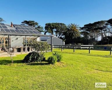 House For Sale - TAS - Loorana - 7256 - RARE OPPORTUNITY FOR COMFORTABLE LIVING OR INVESTMENT  (Image 2)