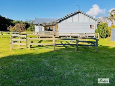 House For Sale - TAS - Loorana - 7256 - RARE OPPORTUNITY FOR COMFORTABLE LIVING OR INVESTMENT  (Image 2)