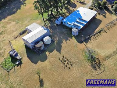 Acreage/Semi-rural For Sale - QLD - Nanango - 4615 - Rural Lifestyle Of 6.3 Acres on Two Lots with Creek Frontage  (Image 2)