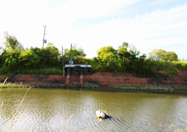 Horticulture For Sale - QLD - Alloway - 4670 - CARINA DOWNS - EOI CLOSE 21ST JULY 2025  (Image 2)