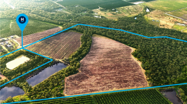 Horticulture For Sale - QLD - Alloway - 4670 - CARINA DOWNS - EOI CLOSE 21ST JULY 2025  (Image 2)