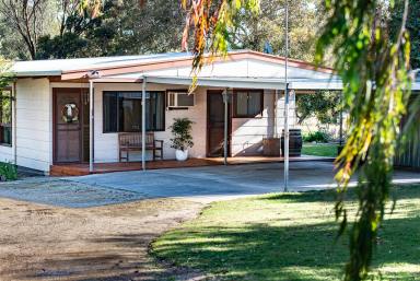House For Sale - SA - Naracoorte - 5271 - Rare Opportunity - 4 Bedrooms,  9.94 acres - Zoned:  Rural Living  (Image 2)
