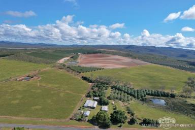 Mixed Farming For Sale - QLD - Arriga - 4880 - SOUGHT AFTER PADDY'S GREEN LOCALE - ELEVATION & QUALITY SOILS  (Image 2)