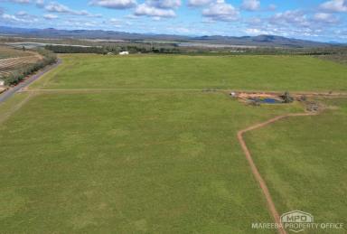 Mixed Farming For Sale - QLD - Arriga - 4880 - SOUGHT AFTER PADDY'S GREEN LOCALE - ELEVATION & QUALITY SOILS  (Image 2)