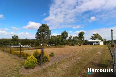 Residential Block For Sale - QLD - Dallarnil - 4621 - 1/2 BLOCK WITH SHED IN DALLARNIL  (Image 2)