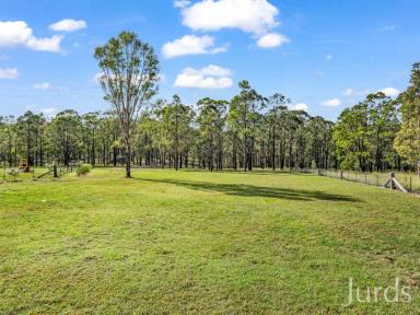 Lifestyle Sold - NSW - Sedgefield - 2330 - 12.8 acre rural retreat just minutes from Singleton  (Image 2)