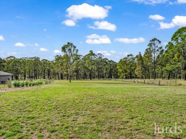 Lifestyle For Sale - NSW - Sedgefield - 2330 - 12.8 acre rural retreat just minutes from Singleton  (Image 2)