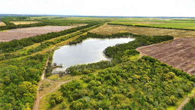 Horticulture For Sale - QLD - Elliott - 4670 - GILLENS CREEK - EOI CLOSE 21ST JULY 2025  (Image 2)