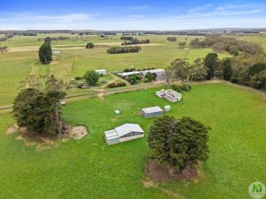 Mixed Farming Auction - VIC - Drumborg - 3304 - Prime Farming Opportunity With Reliable Rainfall  (Image 2)
